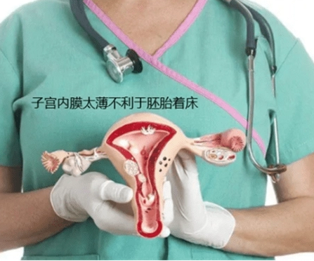  内膜厚度薄不利于着床
