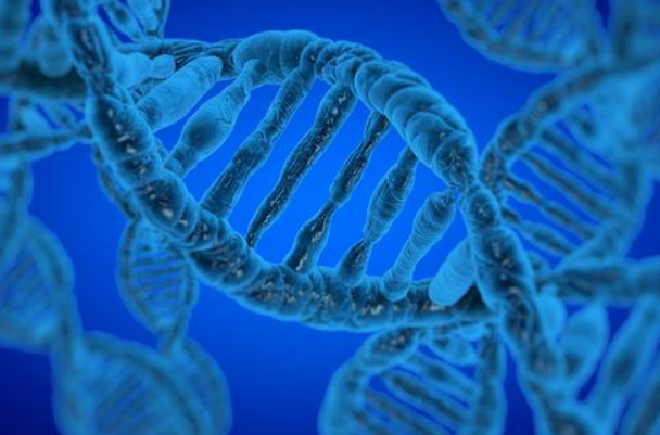 男方azf染色体缺失做第三代试管还需要进行筛查吗？