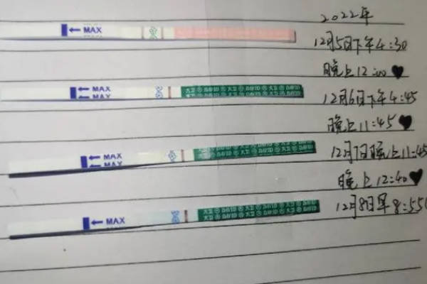 注射绒促性素后代谢完时间在2天左右
