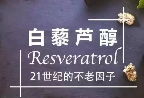 详谈白藜芦醇对试管婴儿的作用，首先是能促进卵泡发育