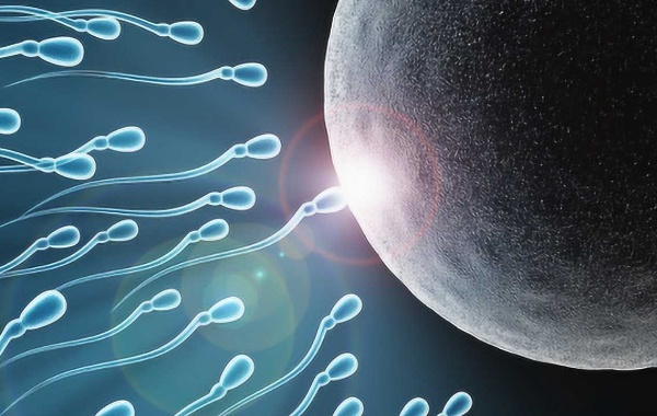 试管过程中实验室卵子和精子不结合医院会提前打电话告知吗？