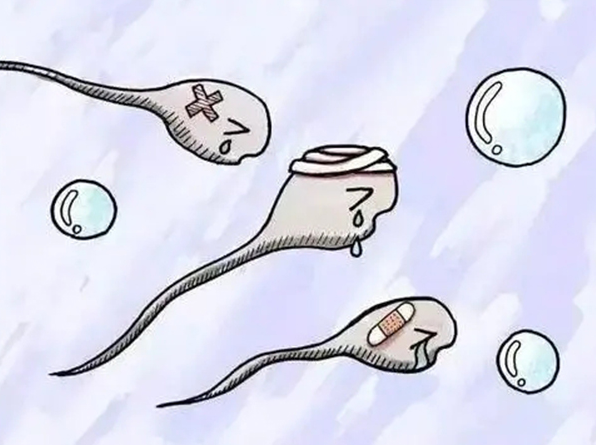 弱精成活率低怎么办?可以做试管婴儿吗?