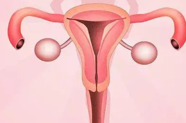 始基子宫影响女性生育