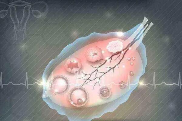 卵泡不成熟要优化促排方案