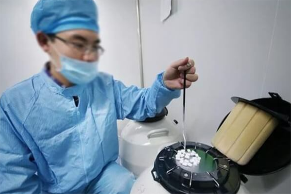 试管短方案移植鲜胚还是冻胚的时间久?