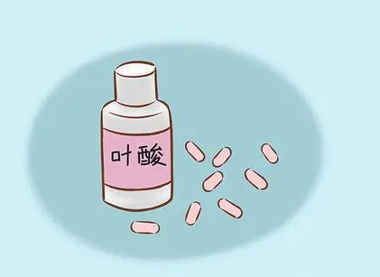 备孕男女都能吃叶酸