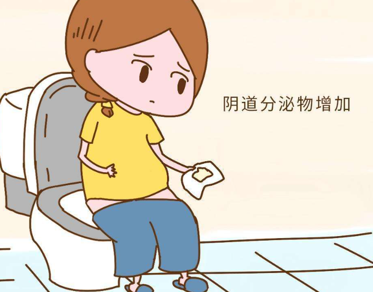 排卵时阴道分泌物会增加
