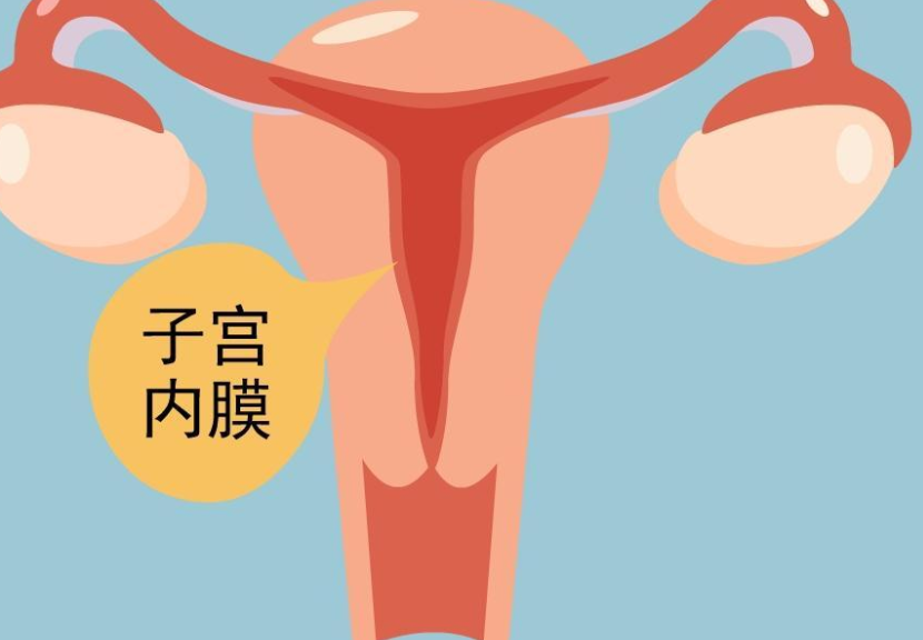 囊胚移植前内膜只有0.6cm是薄了还是厚了？