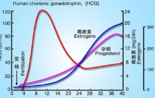 三代试管第二天鲜胚移植后抽血检查hcg数值多少才是正常的？