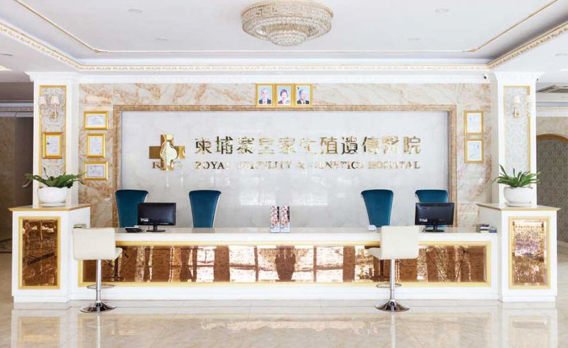 柬埔寨皇家试管赠卵价格，费用组成