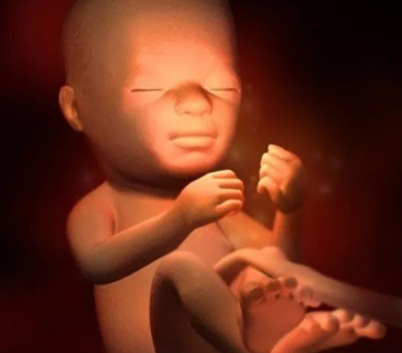 孕六月胎儿的皮肤开始产生脂质